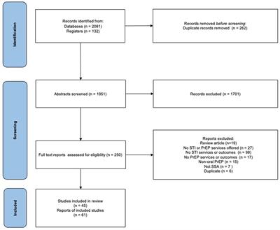 Integration of sexually transmitted infection and HIV pre-exposure prophylaxis services in sub-Saharan Africa: a scoping review